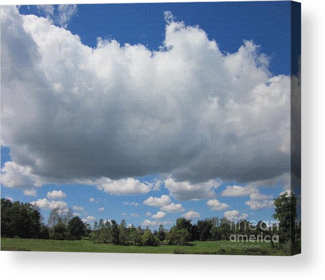 Photography Acrylic Print featuring the photograph A Perfect Day by Kathie Chicoine