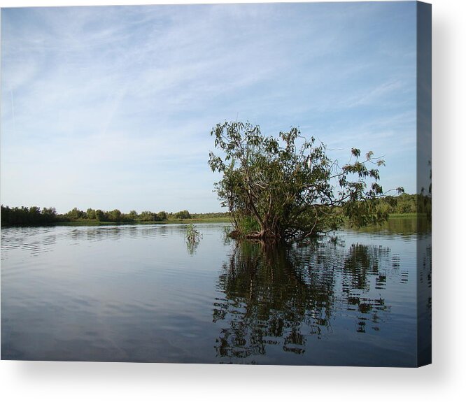 Arboretums Acrylic Print featuring the photograph A small part of a Big picture by Jack Norton