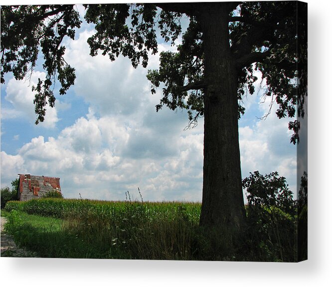 Abandoned Acrylic Print featuring the photograph Abandoned by Joanne Coyle