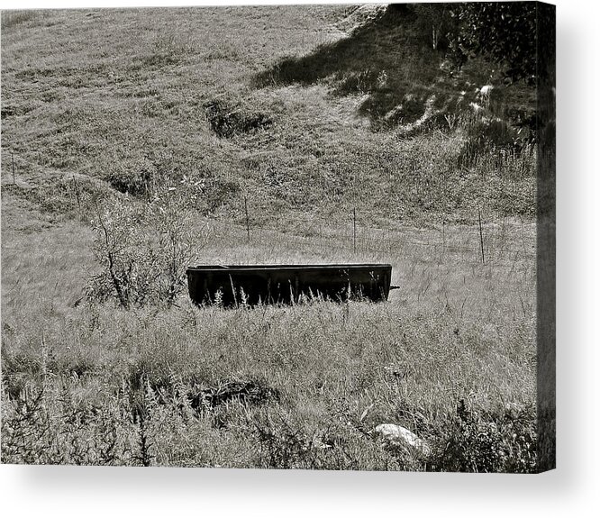 Water Trough Acrylic Print featuring the photograph Abandoned by Liz Vernand
