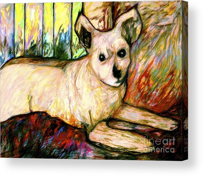 A Great Dog Acrylic Print featuring the drawing Abby by Jon Kittleson