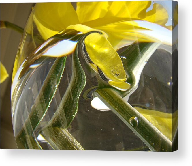 Abstract Artwork Daffodils Flowers 1 Natural Abstract Art Prints