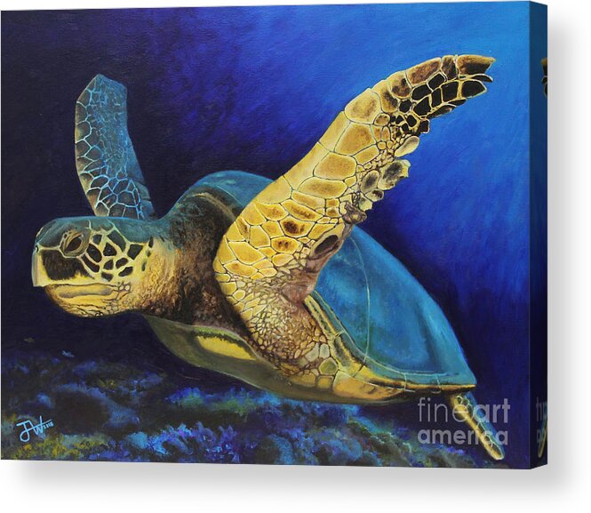Turtle Acrylic Print featuring the painting Las Tortugas by Jerome Wilson