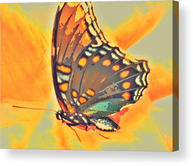 Butterfly Acrylic Print featuring the photograph After The Change by Andy Rhodes