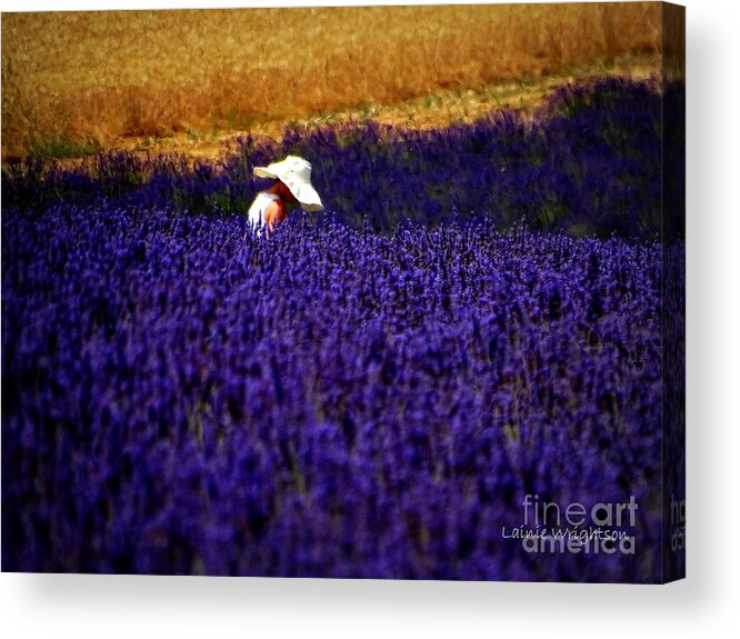 Lavender Acrylic Print featuring the photograph Alone Not Lonely by Lainie Wrightson