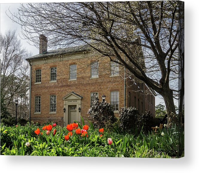 William & Mary Acrylic Print featuring the photograph Alumni House in Spring by Jerry Gammon