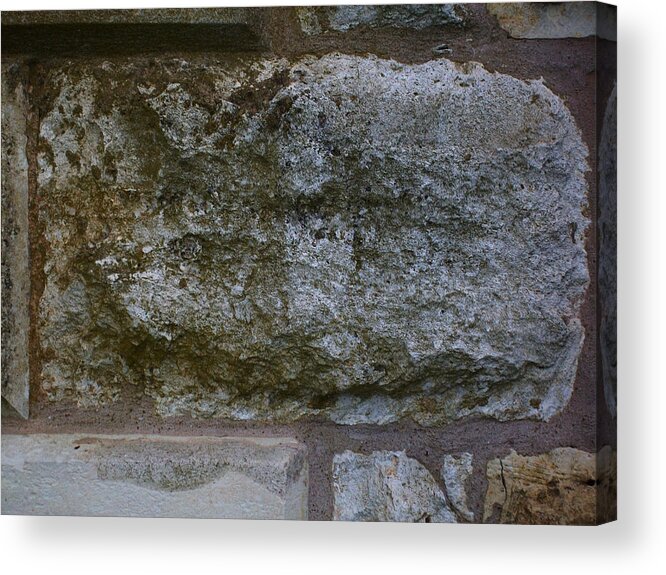  Acrylic Print featuring the photograph Another Mossy Brick in the Wall by Laurette Escobar