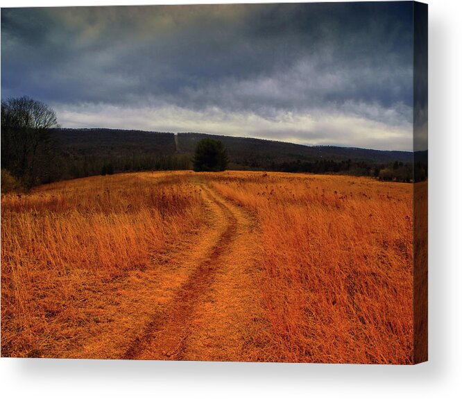 Appalachian Trail Heading North In Pa Section 7 Acrylic Print featuring the photograph Appalachian Trail Heading North in PA Section 7 by Raymond Salani III