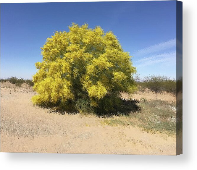 Botanical Acrylic Print featuring the photograph April by Cheryl Goodberg