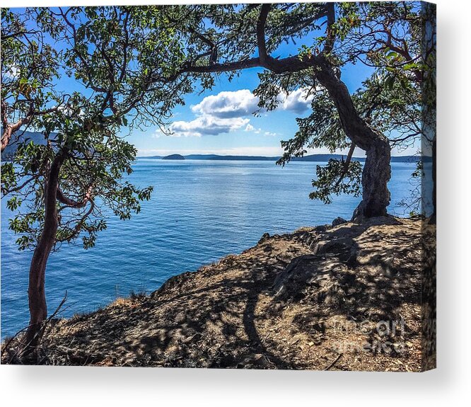 Orcas Island Acrylic Print featuring the photograph Arch of Trees by William Wyckoff
