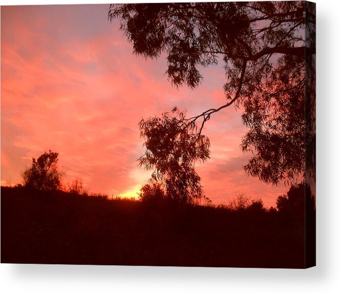 Red Acrylic Print featuring the photograph Red dawn by Maria Aduke Alabi