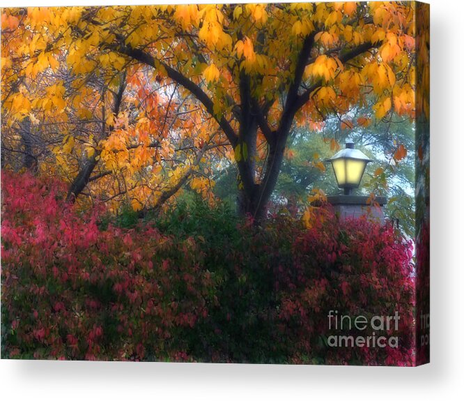 Autumn Acrylic Print featuring the photograph Autumn 3 by Jeff Breiman