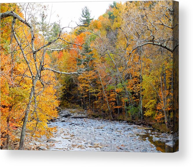 Autumn Creek Acrylic Print featuring the painting Autumn creek 10 by Jeelan Clark
