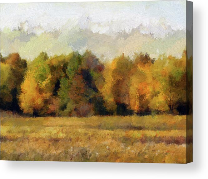 Cedric Hampton Acrylic Print featuring the photograph Autumn Impression 4 by Cedric Hampton