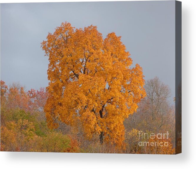 Autumn Acrylic Print featuring the photograph Autumn over Prettyboy by Donald C Morgan