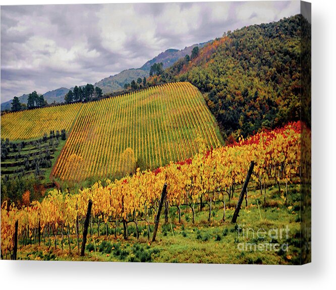 Italy Acrylic Print featuring the photograph Autunno Italiano by Jennie Breeze