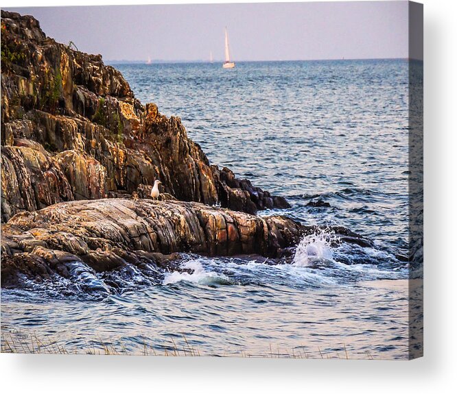 Waterscapes Acrylic Print featuring the photograph Awaiting the Call by Glenn Feron