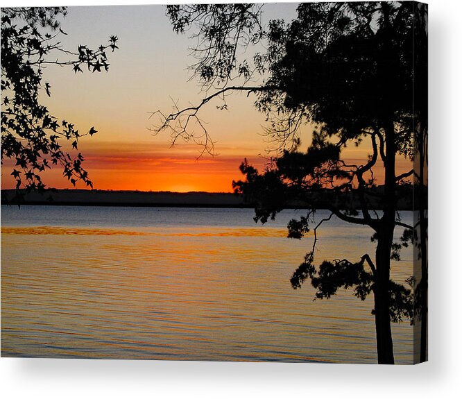 Nature Acrylic Print featuring the photograph Awesome by DB Hayes