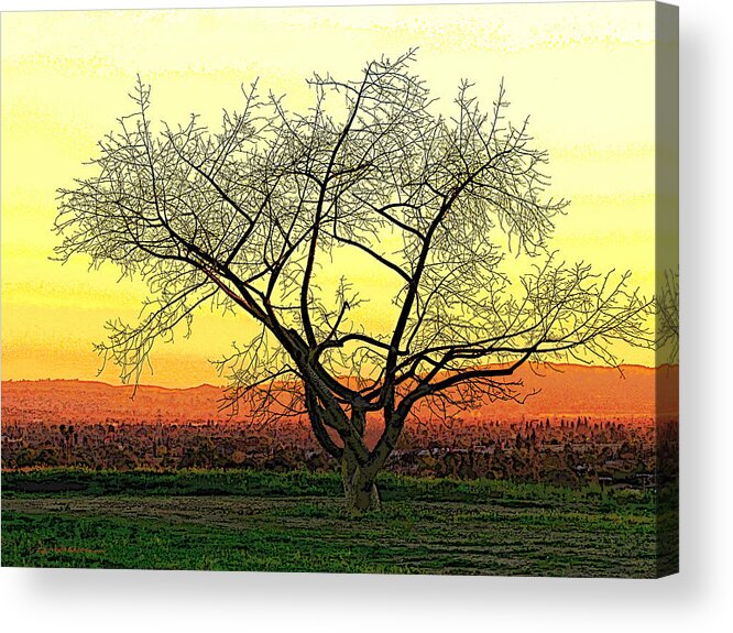 Tree Acrylic Print featuring the photograph Azusa Sentinel by Pat Wagner