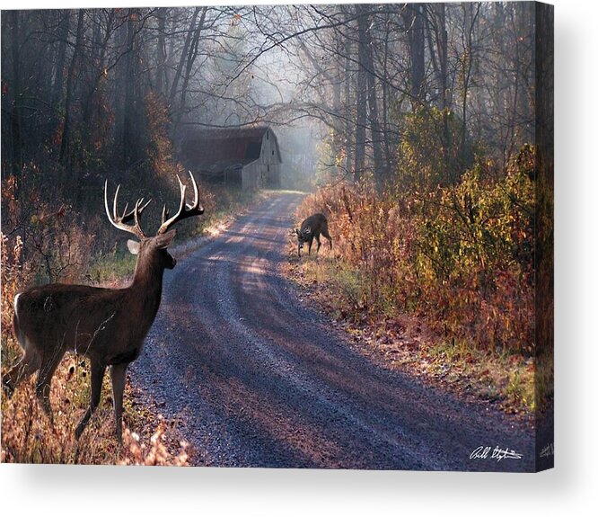 Deer Acrylic Print featuring the digital art Back Home by Bill Stephens