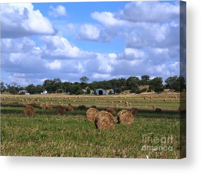Hay Acrylic Print featuring the photograph Bales of Hay by Therese Alcorn