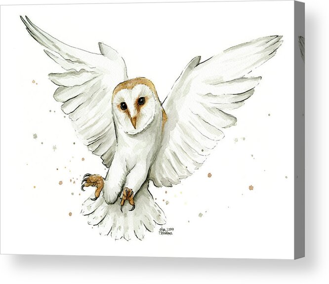 Owl Acrylic Print featuring the painting Barn Owl Flying Watercolor by Olga Shvartsur