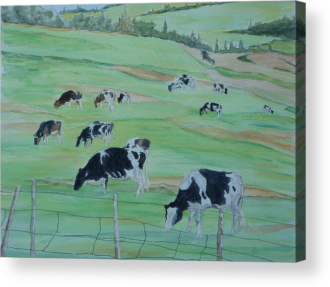 Bovines. Holsteins Acrylic Print featuring the painting Beanie's Cows by Joel Deutsch