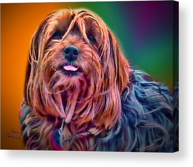 Maggie Acrylic Print featuring the photograph Beloved Maggie by Kathy Tarochione
