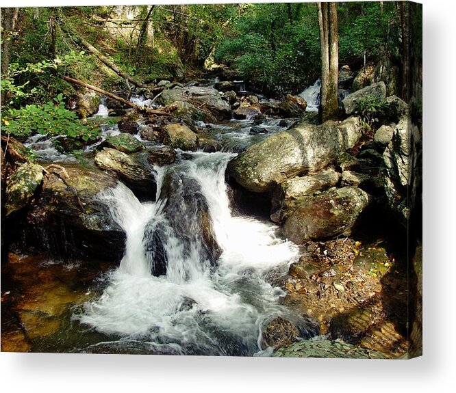 Anna Ruby Falls Acrylic Print featuring the photograph Below Anna Ruby Falls by Jerry Battle