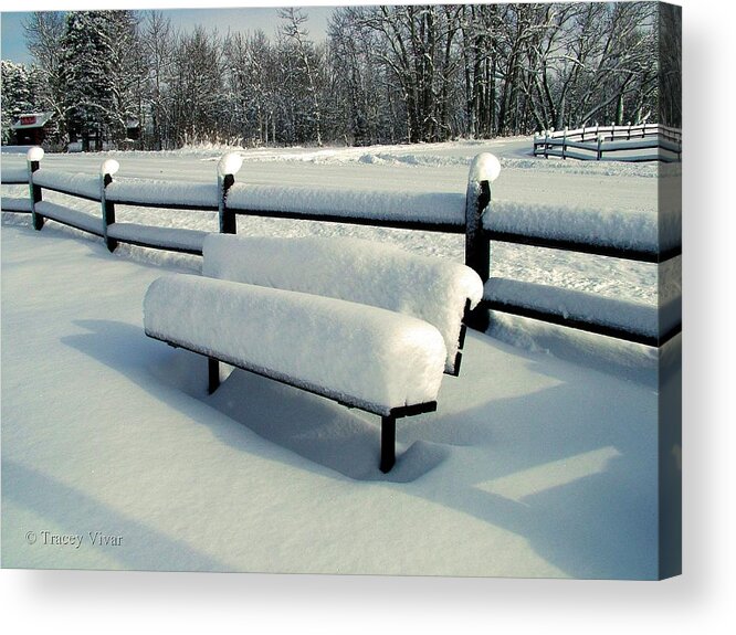 Winter Acrylic Print featuring the photograph Benched by Tracey Vivar