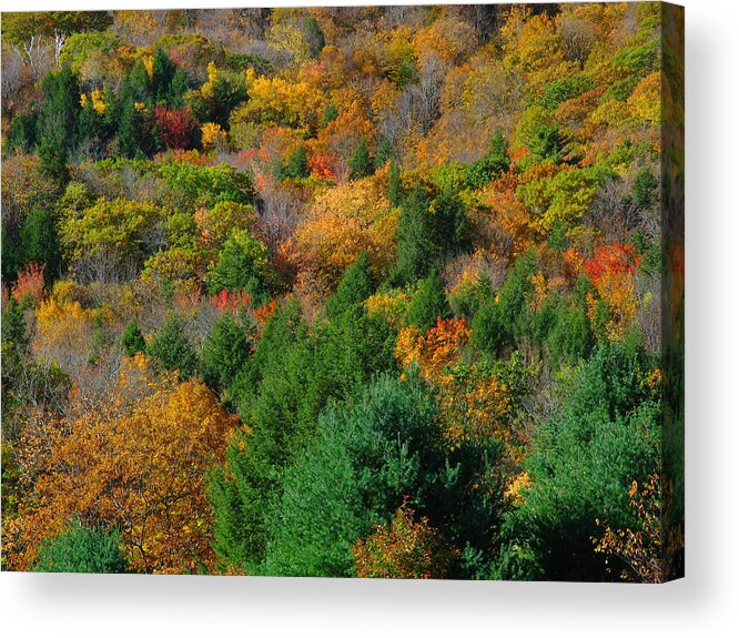 Landscape Acrylic Print featuring the photograph Berkshires Fall Foliage by Juergen Roth