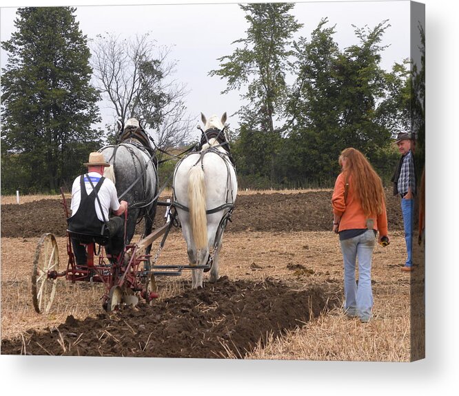 Team Acrylic Print featuring the photograph Bickleshire Farm 4 by Peggy McDonald