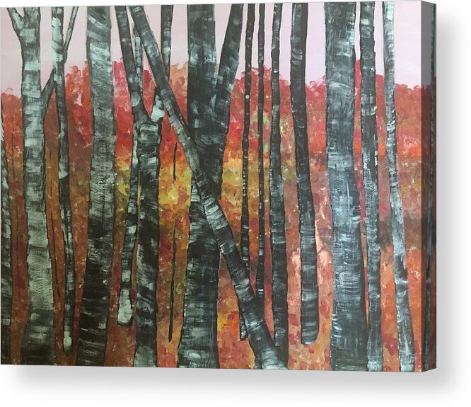 Birches Acrylic Print featuring the painting Birches in the Fall by Paula Brown