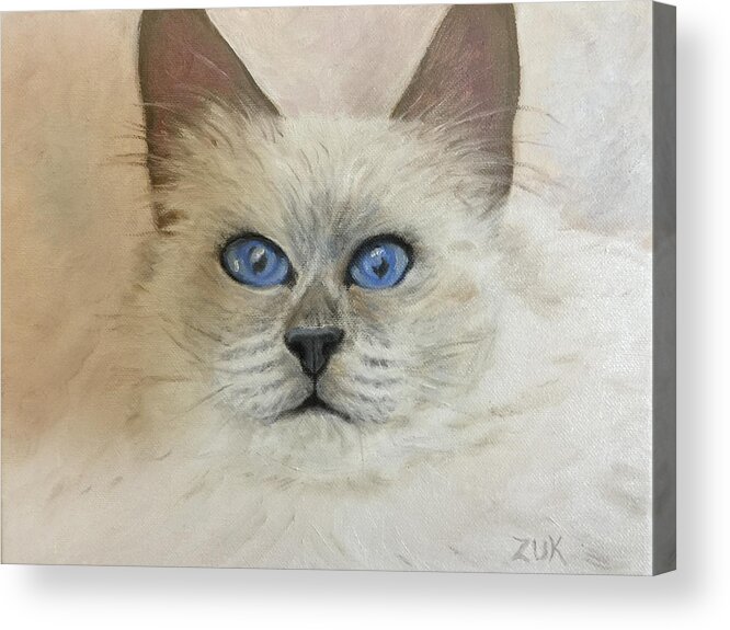 Karen Zuk Rosenblatt Acrylic Print featuring the painting Birman Cat by Karen Zuk Rosenblatt