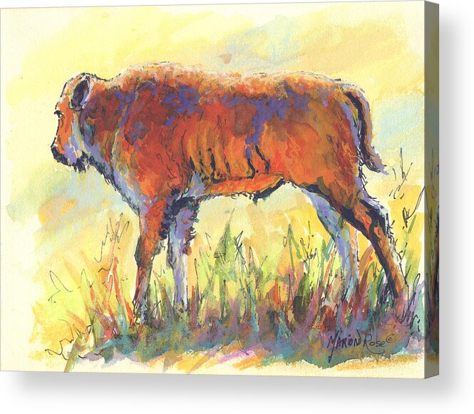 Bison Acrylic Print featuring the painting Bison Calf by Marion Rose