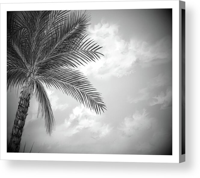 Cloud Acrylic Print featuring the digital art Black and white palm by Darren Cannell