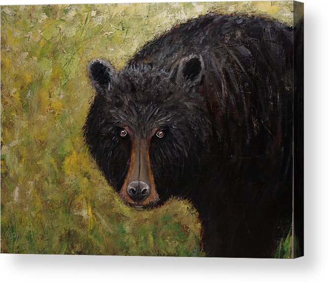Black Bear Painting Acrylic Print featuring the painting Black Bear of the Blue Ridge Mountains by Gray Artus