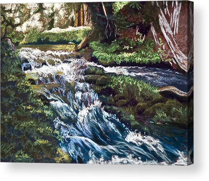 Black River Falls Acrylic Print featuring the pastel Black River Falls Michigan by Gerry Delongchamp