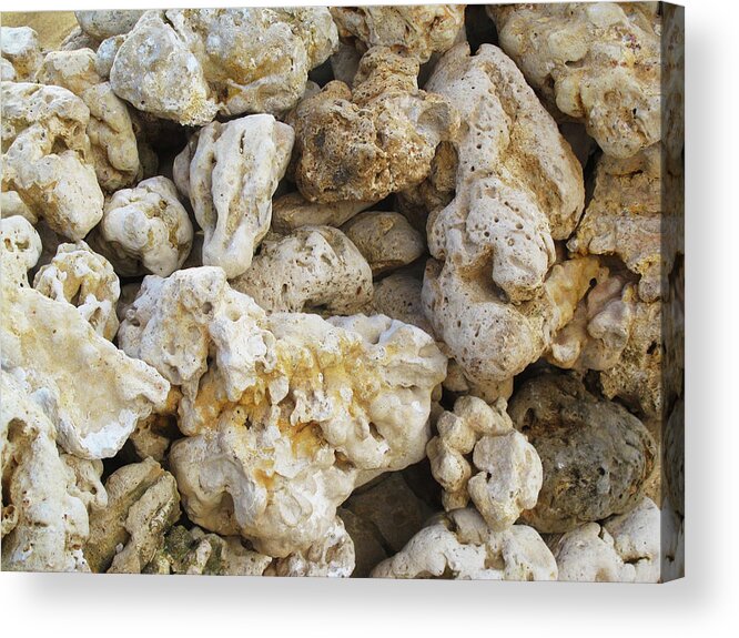 Flagged Acrylic Print featuring the photograph Bleached Coral by Kathy Corday