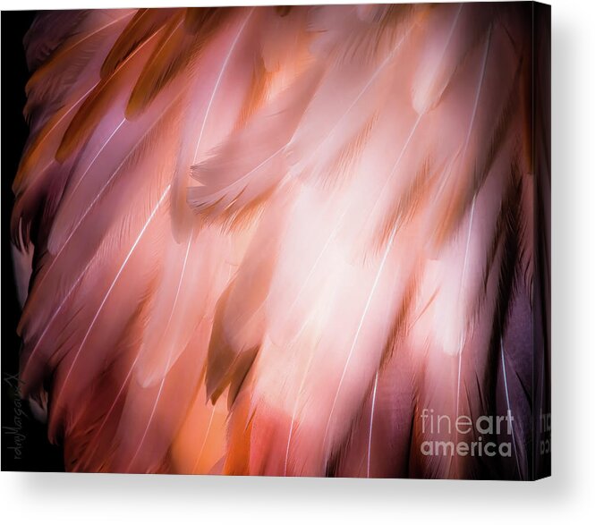 Flamingo Acrylic Print featuring the photograph Blood-red feather...duster by Margaux Dreamaginations