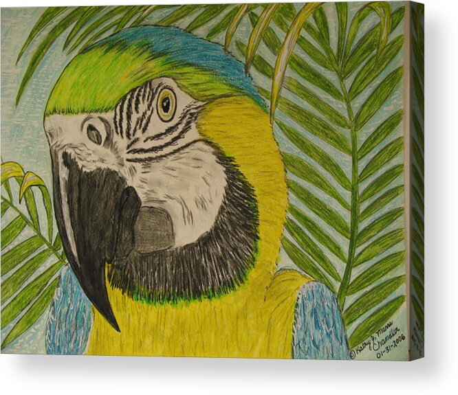 Macaw Acrylic Print featuring the painting Blue and Gold Macaw Parrot by Kathy Marrs Chandler