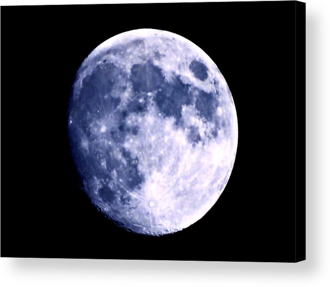 Blue Moon Acrylic Print featuring the photograph Blue Moon by Morgan Carter