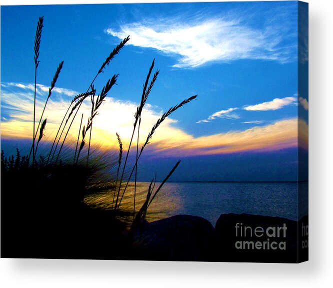 Photograph Acrylic Print featuring the photograph Photograph Blue Shores Silhouette Sunset by Delynn Addams