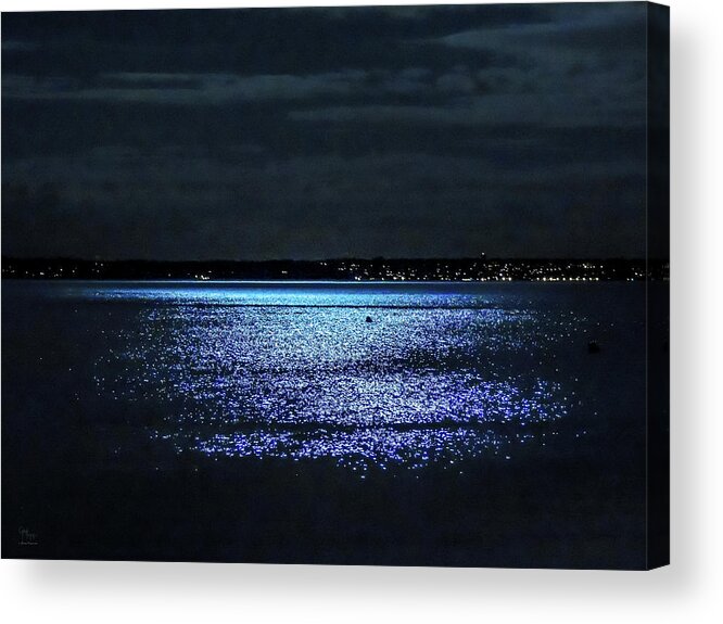 Moonlight Acrylic Print featuring the photograph Blue Velvet by Glenn Feron