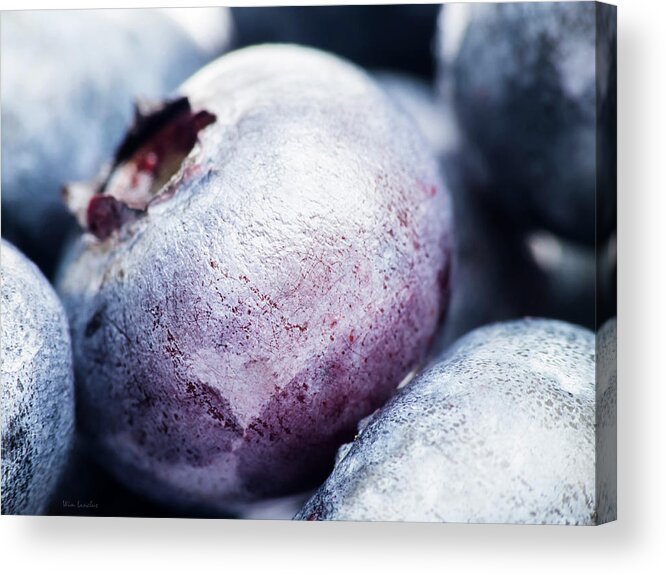 Blueberry Acrylic Print featuring the photograph Blueberry by Wim Lanclus