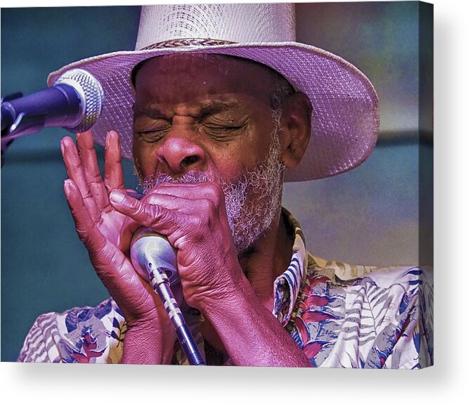 Blues Acrylic Print featuring the photograph Blues Harp by C H Apperson
