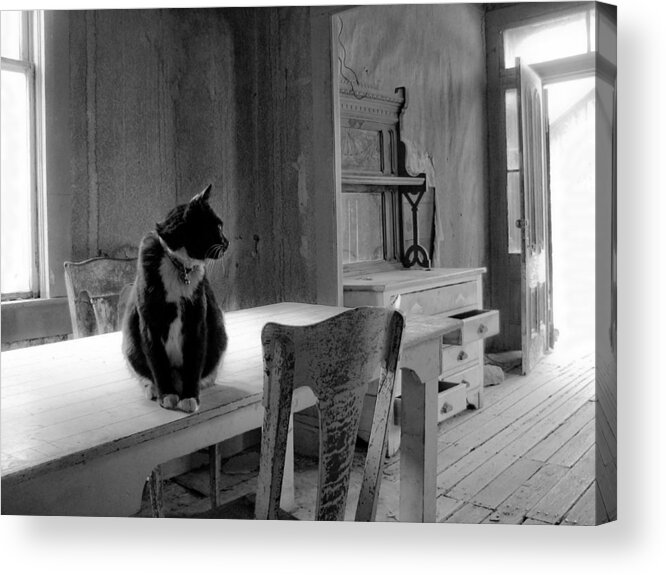Bodie Acrylic Print featuring the photograph Bodie Cat by Neil Pankler
