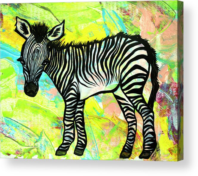 Zebra Acrylic Print featuring the painting Bold and Bright by Darcy Lee Saxton