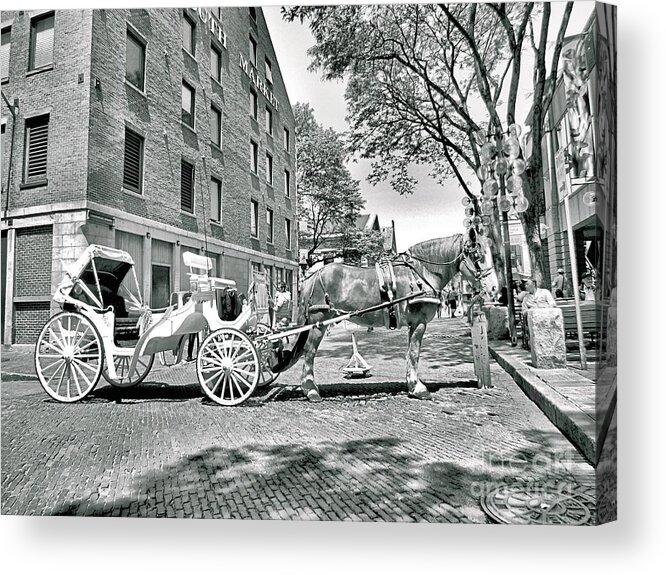 Faneuil Hall Acrylic Print featuring the photograph Boston Buggy by Elizabeth Dow