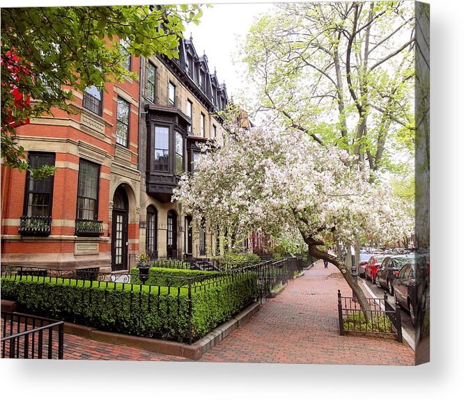Boston Acrylic Print featuring the photograph Boston Spring by Christopher Brown